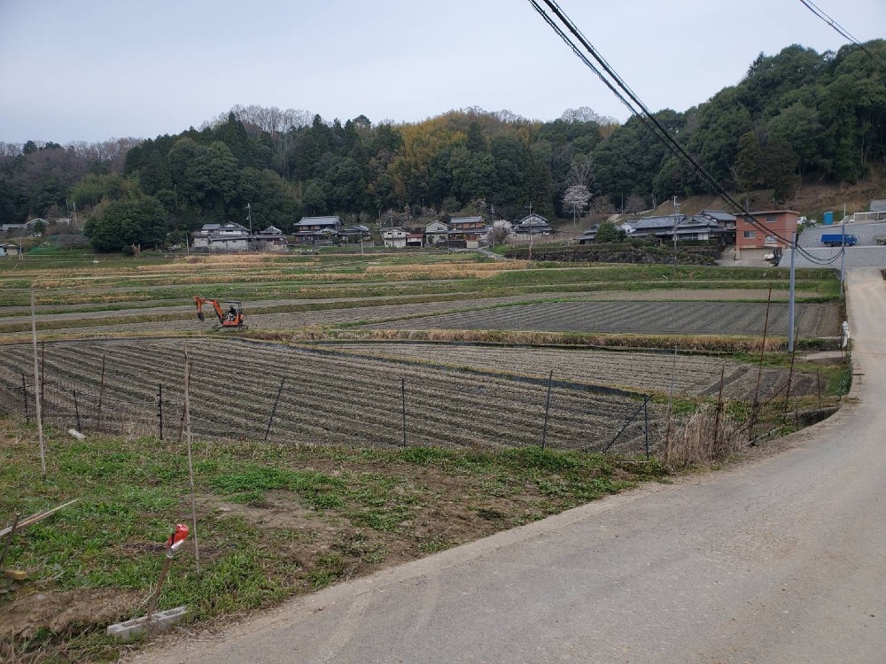 春山の景色